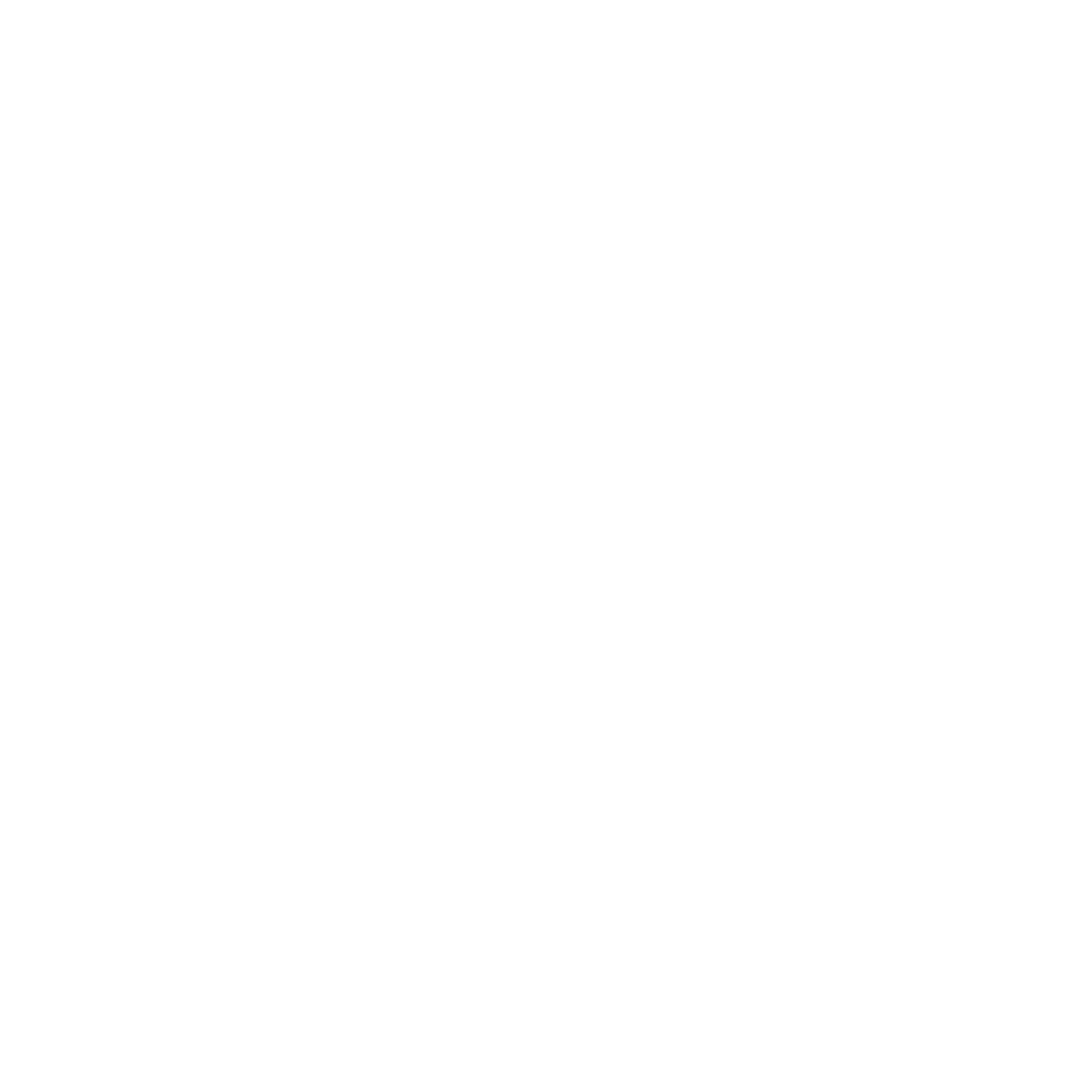 The Engineer Logo White